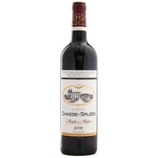 Château Chasse Spleen - Cru Bourgeois 2019 Moulis-en-Medoc - aoc
